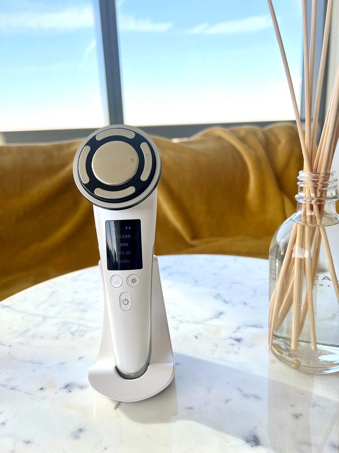 Light Therapy EMS/Microcurrent Skin Rejuvenation Device